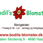 01-Bodils-Blomster-480x360px 01-Bodils-Blomster-480x360px